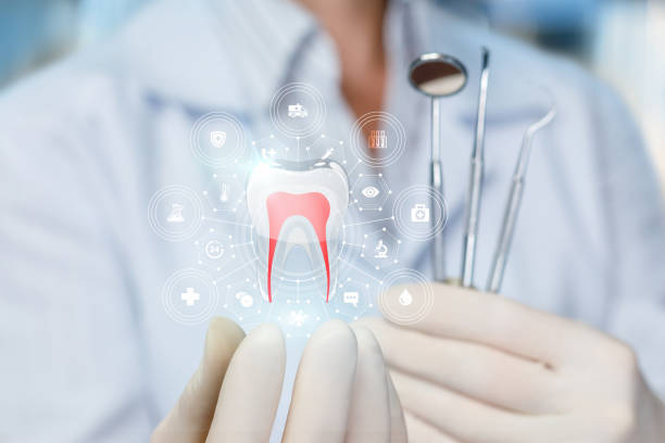 Best Full Mouth Reconstruction  in Windom, MN